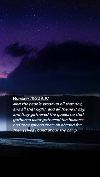 Picture 02 - Numbers 11:32 KJV Mobile Phone Wallpaper - And the people stood up all that day, and all - Mobile Bible Verse Wallpaper