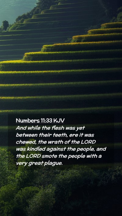 Picture 02 - Numbers 11:33 KJV Mobile Phone Wallpaper - And while the flesh was yet between their teeth, - Mobile Bible Verse Wallpaper