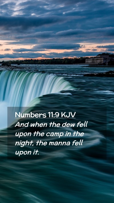 Picture 02 - Numbers 11:9 KJV Mobile Phone Wallpaper - And when the dew fell upon the camp in the night, - Mobile Bible Verse Wallpaper