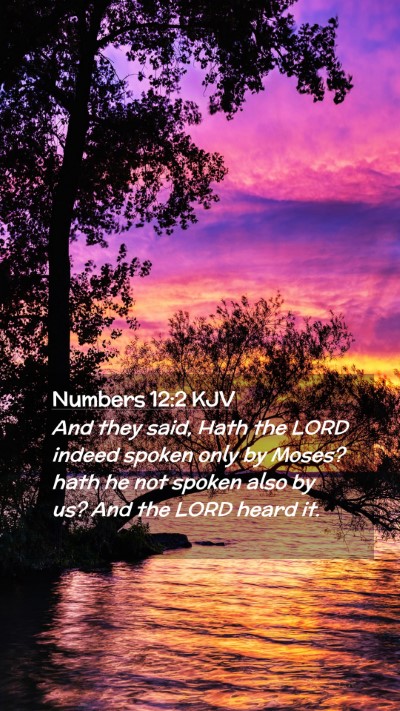 Picture 02 - Numbers 12:2 KJV Mobile Phone Wallpaper - And they said, Hath the LORD indeed spoken only - Mobile Bible Verse Wallpaper