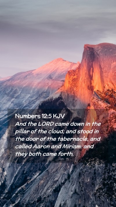 Picture 02 - Numbers 12:5 KJV Mobile Phone Wallpaper - And the LORD came down in the pillar of the - Mobile Bible Verse Wallpaper