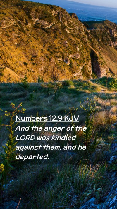 Picture 02 - Numbers 12:9 KJV Mobile Phone Wallpaper - And the anger of the LORD was kindled against - Mobile Bible Verse Wallpaper