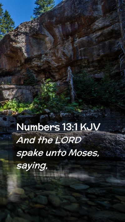 Picture 02 - Numbers 13:1 KJV Mobile Phone Wallpaper - And the LORD spake unto Moses, - Mobile Bible Verse Wallpaper