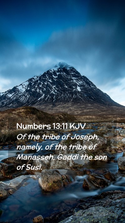 Picture 02 - Numbers 13:11 KJV Mobile Phone Wallpaper - Of the tribe of Joseph, namely, of the tribe of - Mobile Bible Verse Wallpaper