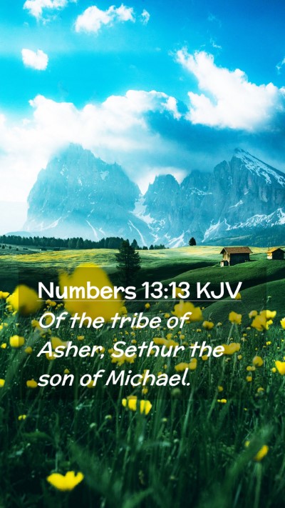 Picture 02 - Numbers 13:13 KJV Mobile Phone Wallpaper - Of the tribe of Asher, Sethur the son of - Mobile Bible Verse Wallpaper