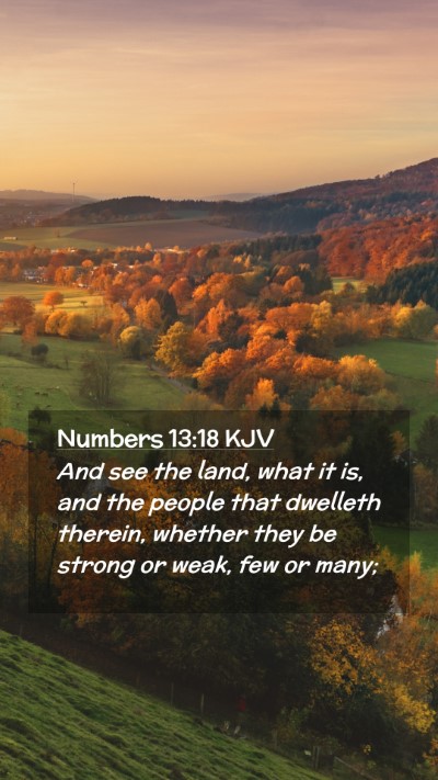 Picture 02 - Numbers 13:18 KJV Mobile Phone Wallpaper - And see the land, what it is, and the people that - Mobile Bible Verse Wallpaper