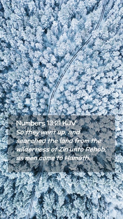 Picture 02 - Numbers 13:21 KJV Mobile Phone Wallpaper - So they went up, and searched the land from the - Mobile Bible Verse Wallpaper