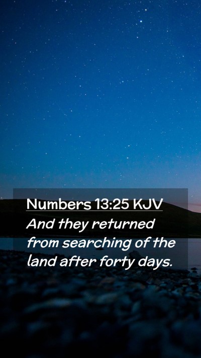 Picture 02 - Numbers 13:25 KJV Mobile Phone Wallpaper - And they returned from searching of the land - Mobile Bible Verse Wallpaper
