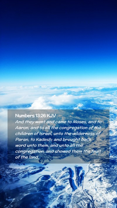 Picture 02 - Numbers 13:26 KJV Mobile Phone Wallpaper - And they went and came to Moses, and to Aaron, - Mobile Bible Verse Wallpaper