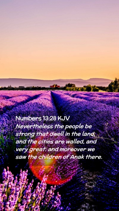 Picture 02 - Numbers 13:28 KJV Mobile Phone Wallpaper - Nevertheless the people be strong that dwell in - Mobile Bible Verse Wallpaper
