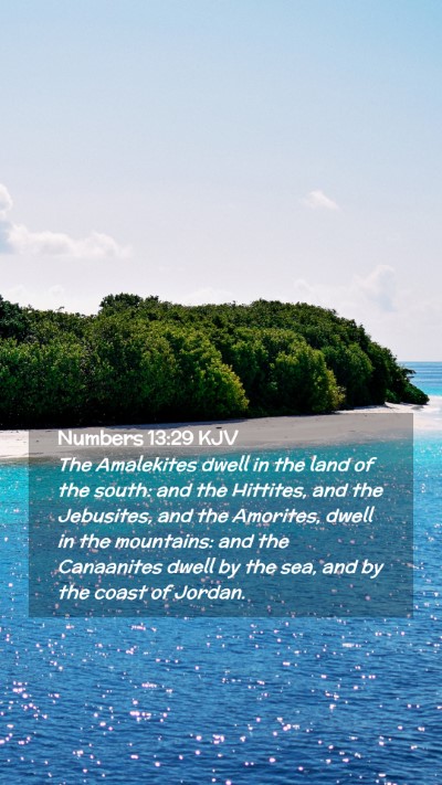 Picture 02 - Numbers 13:29 KJV Mobile Phone Wallpaper - The Amalekites dwell in the land of the south: - Mobile Bible Verse Wallpaper