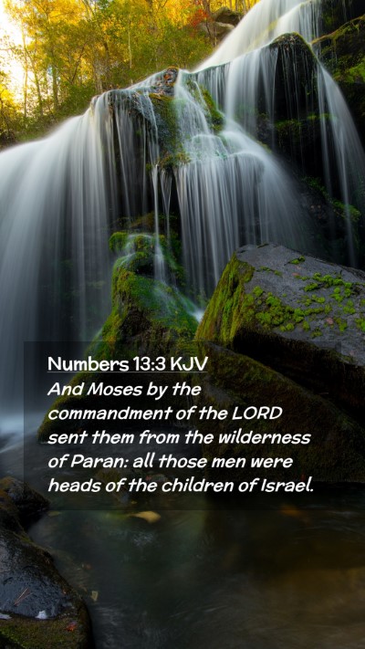 Picture 02 - Numbers 13:3 KJV Mobile Phone Wallpaper - And Moses by the commandment of the LORD sent - Mobile Bible Verse Wallpaper
