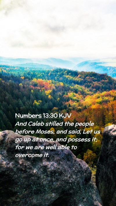 Picture 02 - Numbers 13:30 KJV Mobile Phone Wallpaper - And Caleb stilled the people before Moses, and - Mobile Bible Verse Wallpaper