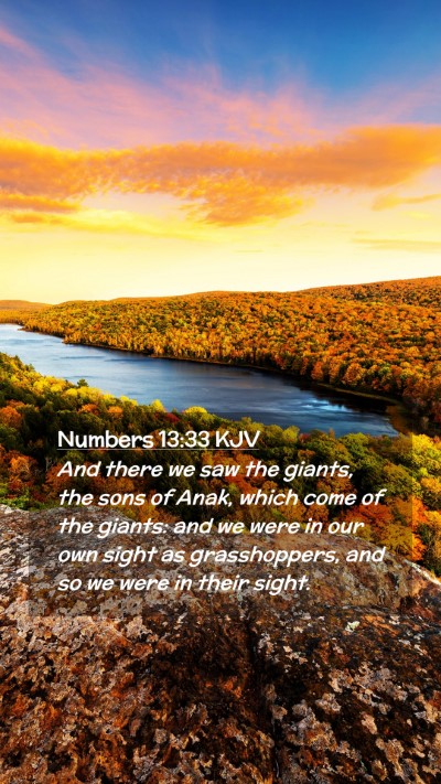 Picture 02 - Numbers 13:33 KJV Mobile Phone Wallpaper - And there we saw the giants, the sons of Anak, - Mobile Bible Verse Wallpaper