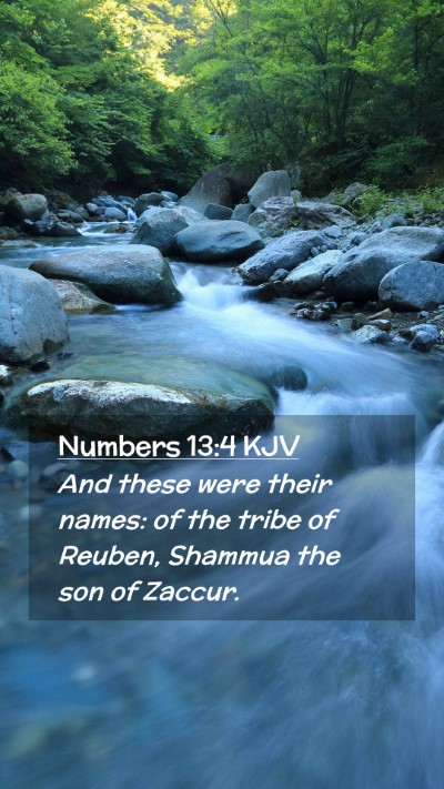 Picture 02 - Numbers 13:4 KJV Mobile Phone Wallpaper - And these were their names: of the tribe of - Mobile Bible Verse Wallpaper