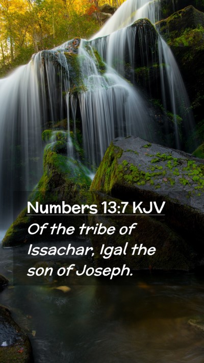 Picture 02 - Numbers 13:7 KJV Mobile Phone Wallpaper - Of the tribe of Issachar, Igal the son of - Mobile Bible Verse Wallpaper
