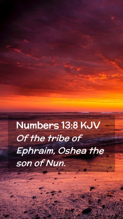 Picture 02 - Numbers 13:8 KJV Mobile Phone Wallpaper - Of the tribe of Ephraim, Oshea the son of - Mobile Bible Verse Wallpaper