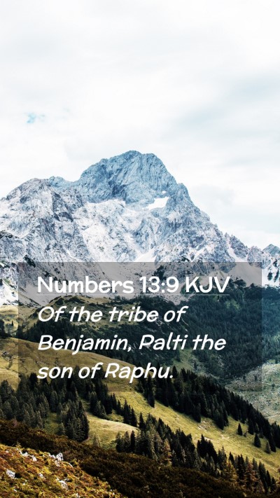 Picture 02 - Numbers 13:9 KJV Mobile Phone Wallpaper - Of the tribe of Benjamin, Palti the son of - Mobile Bible Verse Wallpaper