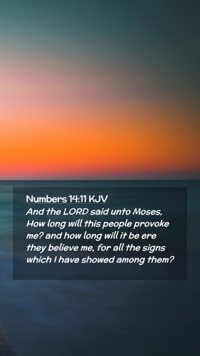 Picture 02 - Numbers 14:11 KJV Mobile Phone Wallpaper - And the LORD said unto Moses, How long will this - Mobile Bible Verse Wallpaper