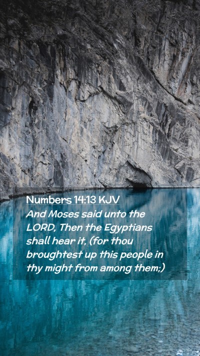 Picture 02 - Numbers 14:13 KJV Mobile Phone Wallpaper - And Moses said unto the LORD, Then the Egyptians - Mobile Bible Verse Wallpaper