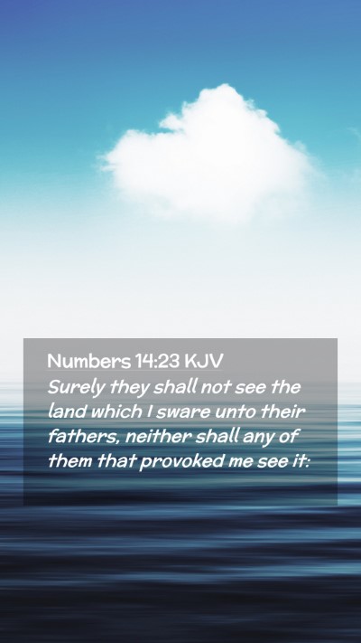 Picture 02 - Numbers 14:23 KJV Mobile Phone Wallpaper - Surely they shall not see the land which I sware - Mobile Bible Verse Wallpaper