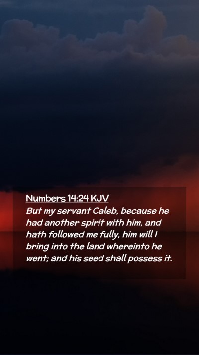 Picture 02 - Numbers 14:24 KJV Mobile Phone Wallpaper - But my servant Caleb, because he had another - Mobile Bible Verse Wallpaper