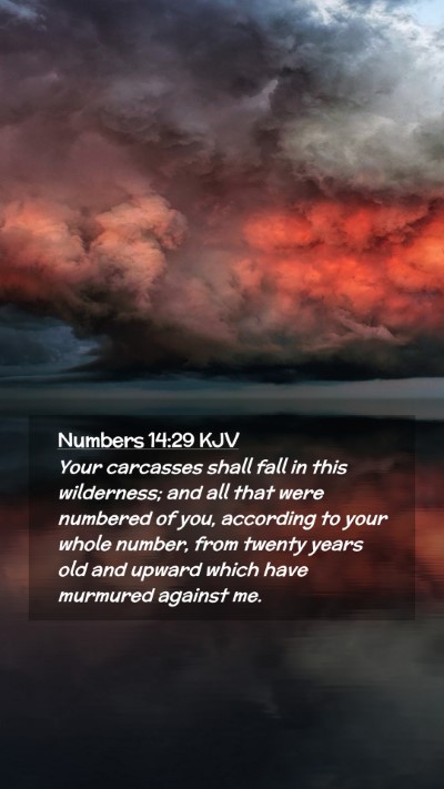 Picture 02 - Numbers 14:29 KJV Mobile Phone Wallpaper - Your carcasses shall fall in this wilderness; and - Mobile Bible Verse Wallpaper