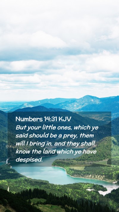 Picture 02 - Numbers 14:31 KJV Mobile Phone Wallpaper - But your little ones, which ye said should be a - Mobile Bible Verse Wallpaper