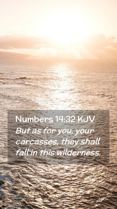 Picture 02 - Numbers 14:32 KJV Mobile Phone Wallpaper - But as for you, your carcasses, they shall fall - Mobile Bible Verse Wallpaper