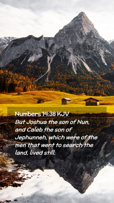 Picture 02 - Numbers 14:38 KJV Mobile Phone Wallpaper - But Joshua the son of Nun, and Caleb the son of - Mobile Bible Verse Wallpaper