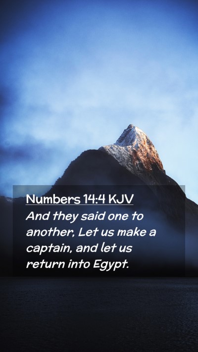 Picture 02 - Numbers 14:4 KJV Mobile Phone Wallpaper - And they said one to another, Let us make a - Mobile Bible Verse Wallpaper