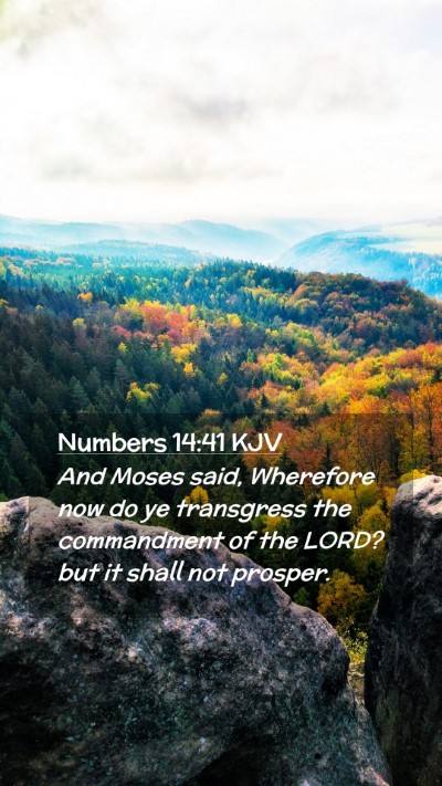 Picture 02 - Numbers 14:41 KJV Mobile Phone Wallpaper - And Moses said, Wherefore now do ye transgress - Mobile Bible Verse Wallpaper