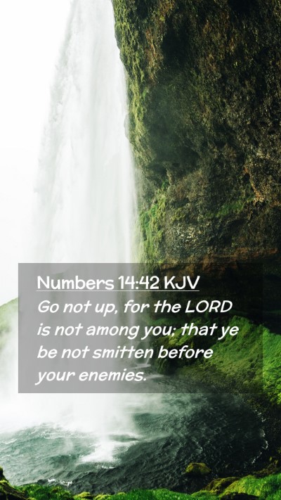 Picture 02 - Numbers 14:42 KJV Mobile Phone Wallpaper - Go not up, for the LORD is not among you; that ye - Mobile Bible Verse Wallpaper