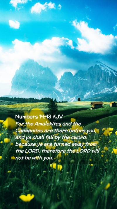 Picture 02 - Numbers 14:43 KJV Mobile Phone Wallpaper - For the Amalekites and the Canaanites are there - Mobile Bible Verse Wallpaper