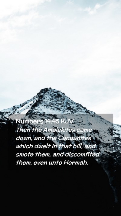 Picture 02 - Numbers 14:45 KJV Mobile Phone Wallpaper - Then the Amalekites came down, and the Canaanites - Mobile Bible Verse Wallpaper