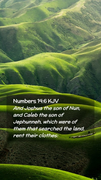 Picture 02 - Numbers 14:6 KJV Mobile Phone Wallpaper - And Joshua the son of Nun, and Caleb the son of - Mobile Bible Verse Wallpaper