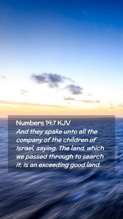 Picture 02 - Numbers 14:7 KJV Mobile Phone Wallpaper - And they spake unto all the company of the - Mobile Bible Verse Wallpaper
