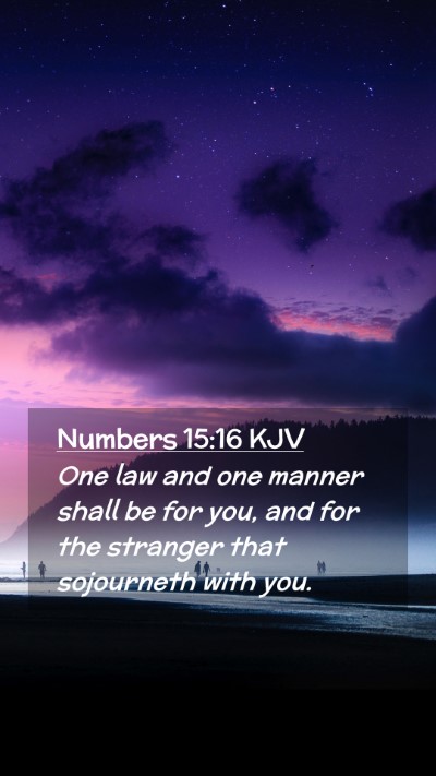 Picture 02 - Numbers 15:16 KJV Mobile Phone Wallpaper - One law and one manner shall be for you, and for - Mobile Bible Verse Wallpaper