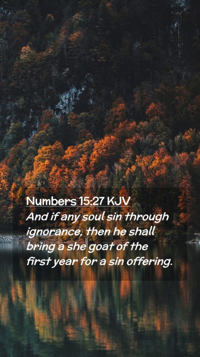 Picture 02 - Numbers 15:27 KJV Mobile Phone Wallpaper - And if any soul sin through ignorance, then he - Mobile Bible Verse Wallpaper