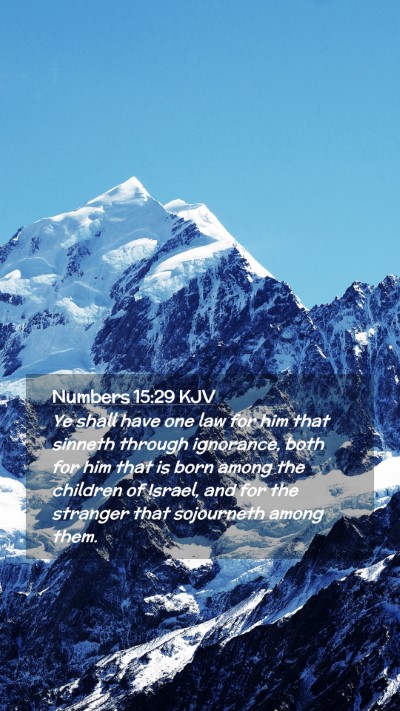 Picture 02 - Numbers 15:29 KJV Mobile Phone Wallpaper - Ye shall have one law for him that sinneth - Mobile Bible Verse Wallpaper