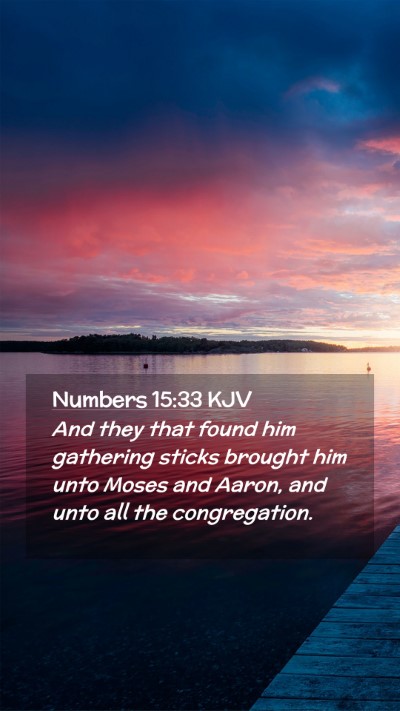 Picture 02 - Numbers 15:33 KJV Mobile Phone Wallpaper - And they that found him gathering sticks brought - Mobile Bible Verse Wallpaper