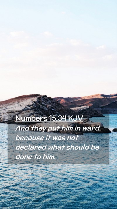 Picture 02 - Numbers 15:34 KJV Mobile Phone Wallpaper - And they put him in ward, because it was not - Mobile Bible Verse Wallpaper