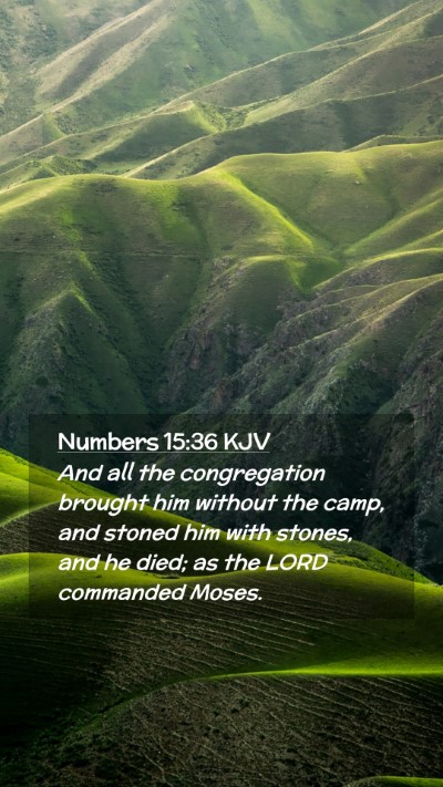 Picture 02 - Numbers 15:36 KJV Mobile Phone Wallpaper - And all the congregation brought him without the - Mobile Bible Verse Wallpaper