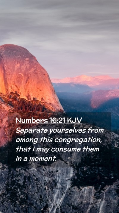 Picture 02 - Numbers 16:21 KJV Mobile Phone Wallpaper - Separate yourselves from among this congregation, - Mobile Bible Verse Wallpaper