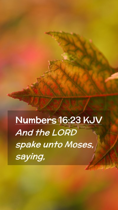 Picture 02 - Numbers 16:23 KJV Mobile Phone Wallpaper - And the LORD spake unto Moses, - Mobile Bible Verse Wallpaper