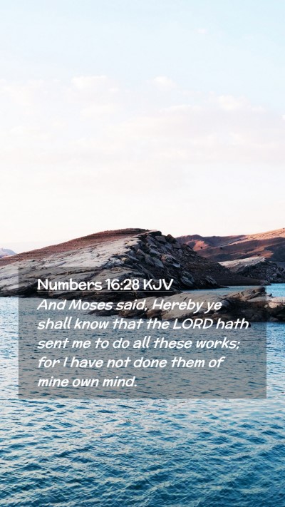 Picture 02 - Numbers 16:28 KJV Mobile Phone Wallpaper - And Moses said, Hereby ye shall know that the - Mobile Bible Verse Wallpaper