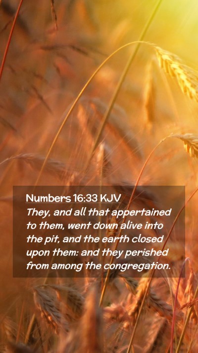 Picture 02 - Numbers 16:33 KJV Mobile Phone Wallpaper - They, and all that appertained to them, went down - Mobile Bible Verse Wallpaper