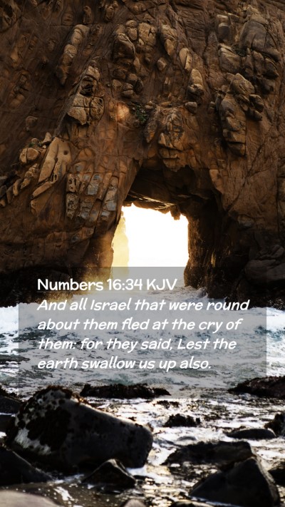 Picture 02 - Numbers 16:34 KJV Mobile Phone Wallpaper - And all Israel that were round about them fled at - Mobile Bible Verse Wallpaper