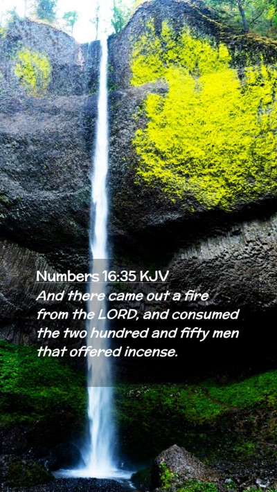 Picture 02 - Numbers 16:35 KJV Mobile Phone Wallpaper - And there came out a fire from the LORD, and - Mobile Bible Verse Wallpaper