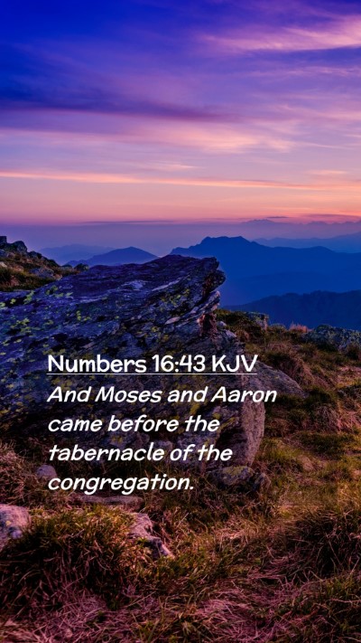 Picture 02 - Numbers 16:43 KJV Mobile Phone Wallpaper - And Moses and Aaron came before the tabernacle of - Mobile Bible Verse Wallpaper